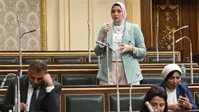 هدى عمار: الانضمام إلى التحالف الدولي للطاقة الشمسية وإنشاء السوق العربية المشتركة الكهرباء خطوة تدعم توجه الدولة نحو استخدام الطاقة المتجددة - الخليج الان