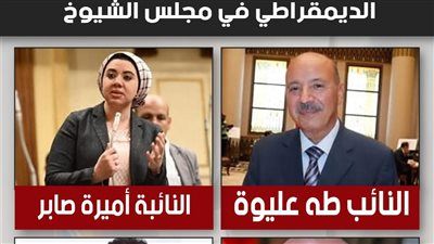خاص تليجراف الخليج.. مرشحو القائمة الوطنية لحزب المصري الديمقراطي في مجلس الشيوخ - الخليج الان