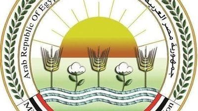 الزراعة تطلق 214 قافلة بيطرية مجانية في 176 قرية خلال يونيو الماضي - الخليج الان