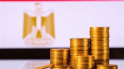 بعد تمويل 215 ألف مشروع بـ33 مليار جنيه.. هل يعاد رسم خريطة الاقتصاد غير الرسمي في مصر؟ - الخليج الان