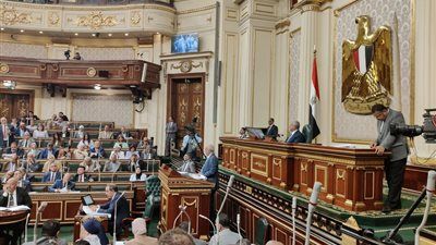 "الرقاصة تيجي هنا تتشهر".. عبارة أشعلت أزمة داخل البرلمان بمناقشة قانون التعليم.. ما القصة؟ - الخليج الان