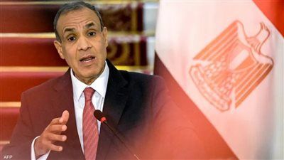 وزير الخارجية: يجب تكثيف الجهود الدولية للتوصل لوقف إطلاق النار في غزة - الخليج الان