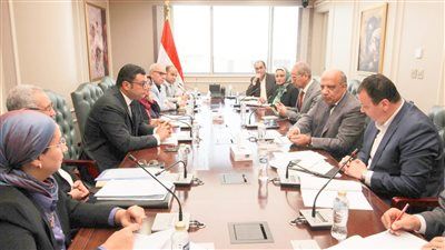 الكهرباء: نعمل على تحسين كفاءة الطاقة وترشيد الاستهلاك ودعم مشروعات الطاقة المتجددة - الخليج الان