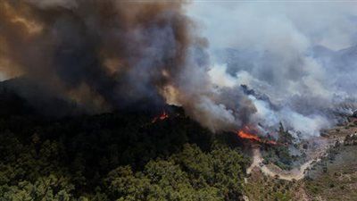 حرائق كارثية تلتهم غابات اللاذقية: 15 ألف هكتار تحت النيران وجهود إقليمية عاجلة للإنقاذ - الخليج الان