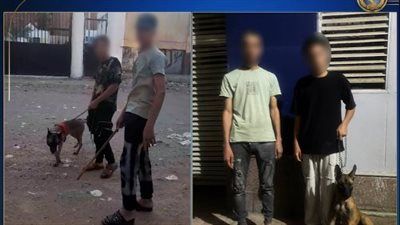 الأمن يكشف حقيقة مقطع بلطجة وترويع أطفال باستخدام كلب بالقليوبية - الخليج الان