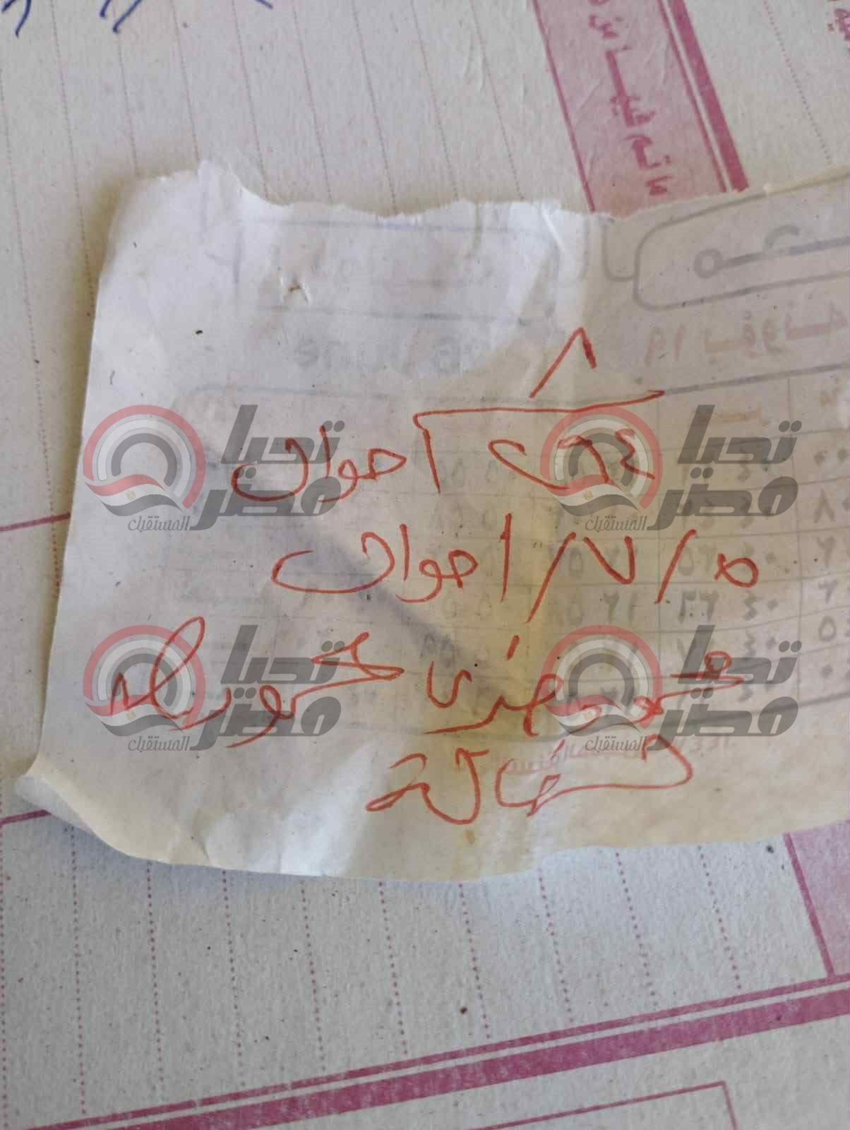 «حياة» ضحية عنف زوجي أمام طفلتيها بالدقهلية.. الأسرة تناشد النائب العام عاوزين حق بنتنا - الخليج الان