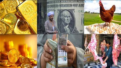 أسعار اليوم: الذهب يتأرجح.. الفراخ والبيض تهدأ.. والدولار يواصل المفاجآت - الخليج الان