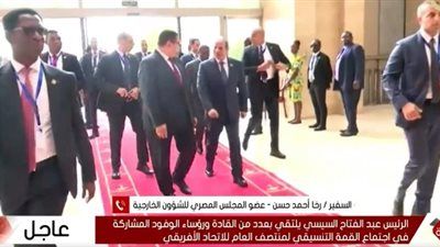 الرئيس السيسي يصل مالابو لحضور القمة التنسيقية السابعة للاتحاد الأفريقي - الخليج الان