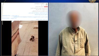 الداخلية تكشف ملابسات قيام شخص بإلقاء ماء ساخن على كلب ضال في أسيوط - الخليج الان