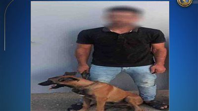 الداخلية تكشف ملابسات فيديو "كلب الدقهلية".. والمتهم يعترف: كنت بهزر عشان المشاهدات - الخليج الان