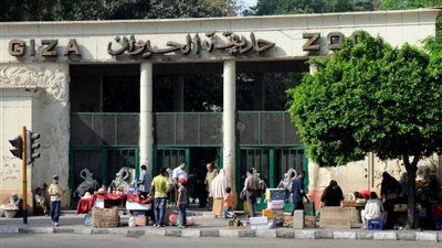 إفتتاح رسمي في سبتمبر.. حديقة حيوان الجيزة تستعد للعودة - الخليج الان