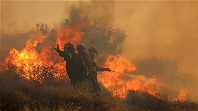 نيران العوينات تلتهم الأخضر واليابس: حرائق بلا هوادة وصرخات استغاثة في غياب الدولة - الخليج الان