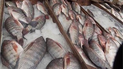 80 جنية سعر سمك البلطي…تعرف علي الأسعار اليوم الثلاثاء 15 يوليو - الخليج الان