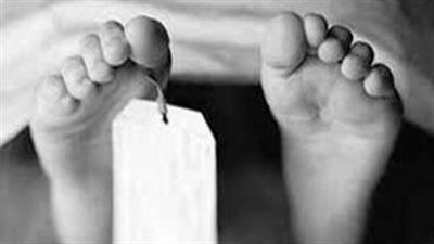 مصرع طفلة في حادث سيارة بالمنوفية - الخليج الان