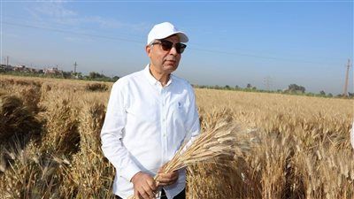 محافظ المنيا: توريد 515 ألف طن قمح منذ بدء الموسم بزيادة 180 ألف طن عن العام الماضي - الخليج الان