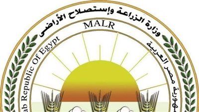 149 مليون جنيه لتمويل المشروعات... وزير الزراعة يكشف التفاصيل - الخليج الان