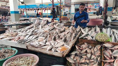 82 جنيه سعر السمك البلطي.. تعرف على حال الأسواق اليوم - الخليج الان