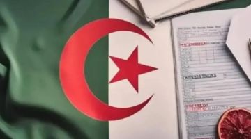 مباشرة من الديوان.. سحب استدعاء بكالوريا الجزائر 2025 برقم التسجيل