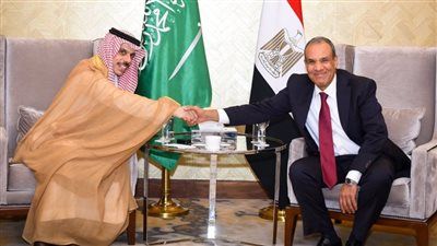 نواب وأحزاب: العلاقات بين مصر والسعودية تتجاوز السياسة وترتكز على الثقة والمصير المشترك - الخليج الان
