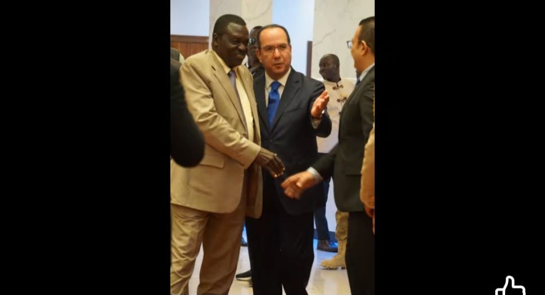 «القاهرة وجوبا تحتفلان...٧٣ عامًا من النهضة – سفارة مصر بجنوب السودان تحتفي بثورة يوليو» - الخليج الان