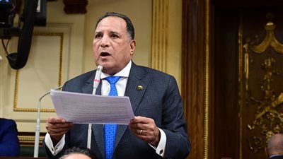 برلمانية الشعب الجمهوري لـ تليجراف الخليج: «حسم» كانت تخطط لزعزعة الوطن.. والأمن المصري أفشل واحدًا من أخطر المخططات الإرهابية - الخليج الان