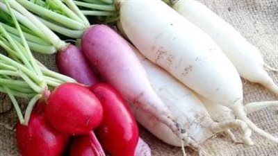 الفجل.. هل يمكن أن يكون علاجًا طبيعيًا لأمراض مزمنة؟ - الخليج الان