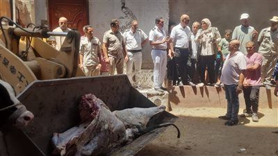 ضبط 5 طن لحوم لحيوانات مريضة مذبوحة خارج المجازر غير صالحة للاستهلاك الأدمي بقويسنا - الخليج الان
