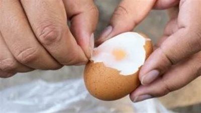 لماذا يجب أن تبدأ إفطارك ببيضة يوميًا؟ فوائد مذهلة لا تتوقعه - الخليج الان