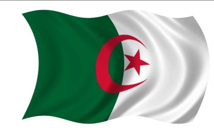 ادخل وسجل بياناتك.. رابط سحب استدعاء البكالوريا 2025 في الجزائر قبل الموعد