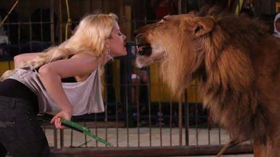 حبس “أنوسه كوتة” ٣ شهور فى واقعة عامل سيرك طنطا - الخليج الان