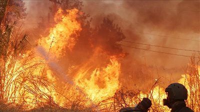 حرائق تلتهم غابات اليونان: موجة حر ثالثة تضع أثينا والجزر في حالة استنفار قصوى - الخليج الان