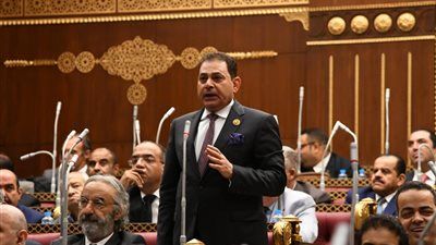 النائب فرج فتحي: الإخوان يضللون الرأي العام ويحاولون تشويه دور مصر في دعم القضية الفلسطينية - الخليج الان