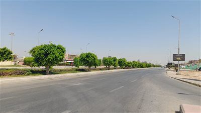 جهاز العاشر من رمضان يرد على منتقدي قص الأشجار: إجراء فني لتطوير المحاور وتحسين المشهد الحضري - الخليج الان