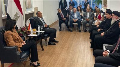 وزير الخارجية: مصر تبذل جهودًا متواصلة لحماية أمنها القومي في ظل واقع دولي بالغ التعقيد - الخليج الان