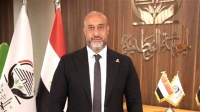 حسام سعيد: كلمة الرئيس عن غزة تعكس دور مصر القيادي وإنسانيتها الثابتة تجاه الأشقاء الفلسطينيين - الخليج الان