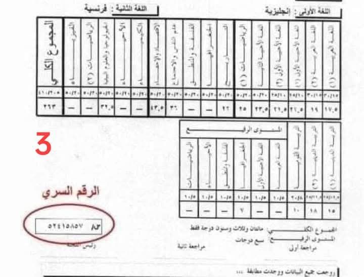 لطلاب المرحلة الأولى للتنسيق 2025.. اعرف ازاي تكتب رغباتك صح في 10 خطوات - الخليج الان