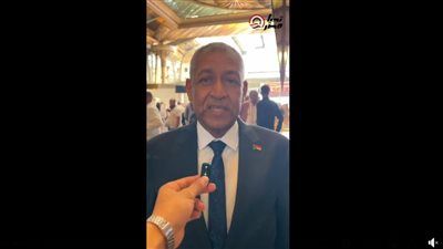 السفير السوداني يشكر مصر قيادة وشعبًا: رحلات منتظمة للعودة الطوعية إلى الخرطوم - الخليج الان
