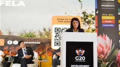 وزيرة التخطيط: الحكومة تعمل على تحفيز الشراكة بين القطاعين الحكومي والخاص في مشروعات البنية التحتية - الخليج الان