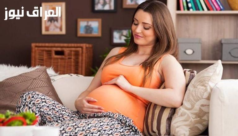 عيش يا نجم.. تسجيل منحة الحوامل في تونس اتفتح للناس كلها