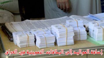 زود عيلك .. كيفية إضافة مواليد التموين على البطاقات التموينية في العراق عشان الدعم