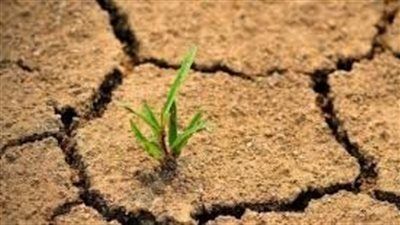 التصحر.. خطر صامت يهدد الإنسان والبيئة | التحديات والآثار والحلول - الخليج الان