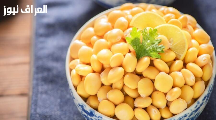 ترمس بطعم السعادة.. عمل الترمس الحلو مقرمش وحلو