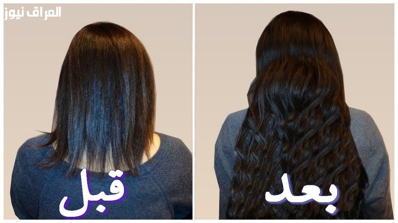 شعرك يستحق التدليل الفخم.. طريقة عمل كفيار للشعر علاج مغذي من العمق