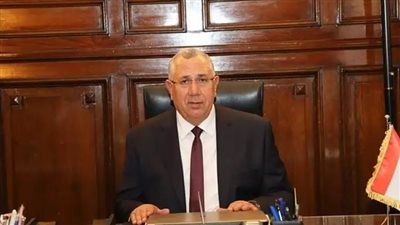 القصير: صوت المواطن في الصندوق هو صوت لمصر ومستقبلها - الخليج الان