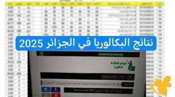 شهادة الامتياز.. نتائج البكالوريا 2025 الجزائر عبر الديوان الوطني بصيغ PDF