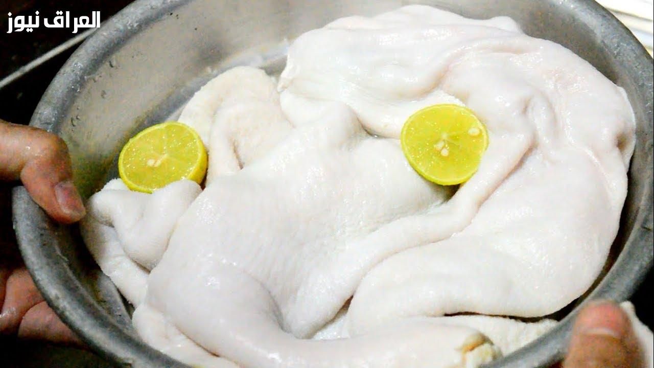 تنضيف من غير مجهود.. طريقة تنظيف الكرشة والممبار من أول غسلة