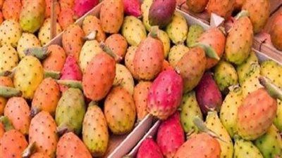 التين الشوكي: فاكهة صيفية لذيذة.. لكن هل تعرف مخاطره الصحية؟ - الخليج الان