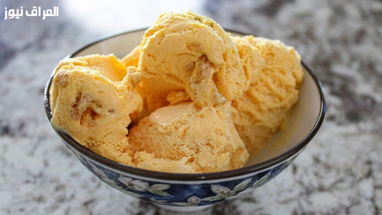 كباية خلاط عملت المعجزة.. طريقة عمل الآيس كريم في الخلاط التحلية جهزت فورًا