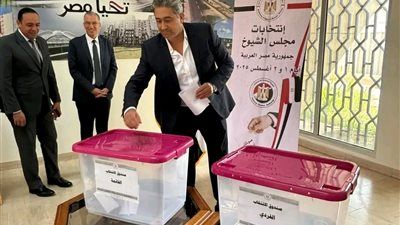 استمرار توافد أبناء الجالية المصرية بسلطنة عمان على السفارة للتصويت في انتخابات مجلس الشيوخ - الخليج الان