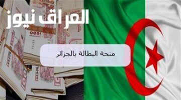 جدد دعمك فوراً..طريقة تجديد منحة البطالة الجزائرية 2025 تجديد لحظي